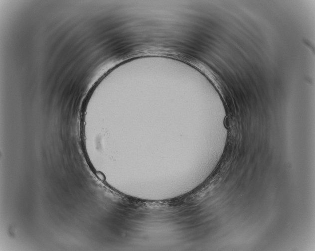 X0000096681147200803041235