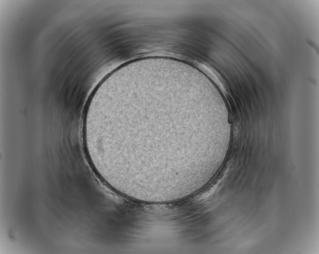 X0000096681149200803041235