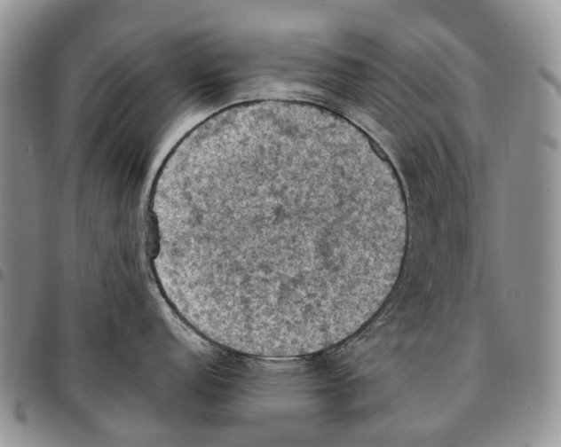 X0000096681152200803041235