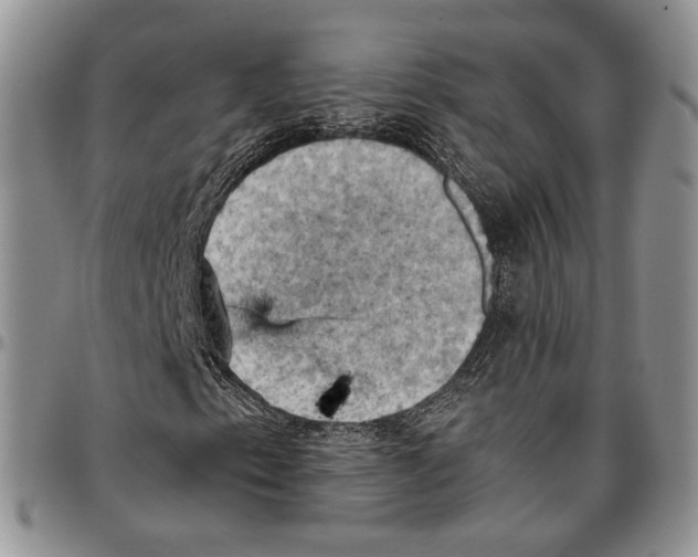 X0000096681153200803041235