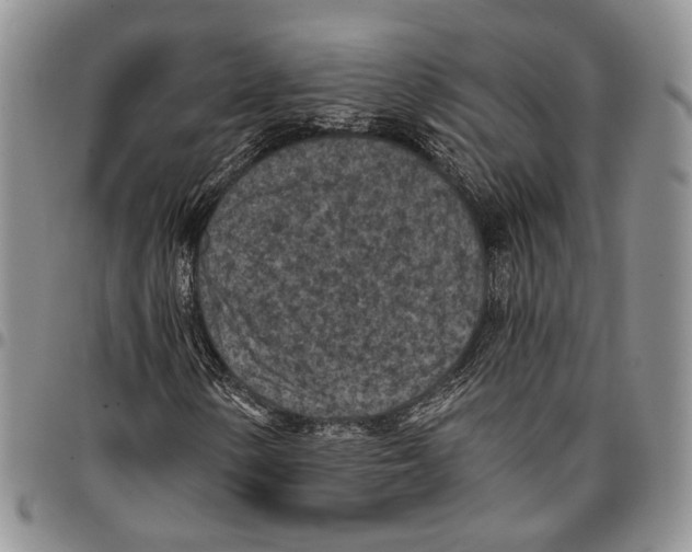 X0000096681154200803041235