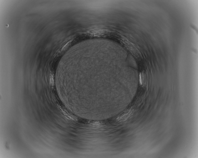 X0000096681155200803041235