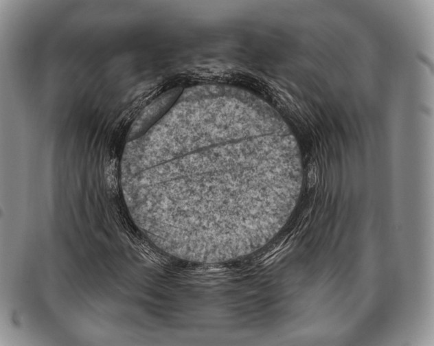 X0000096681156200803041235