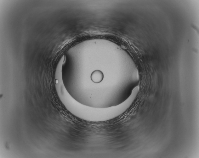 X0000096681157200803041235