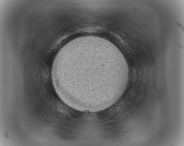 X0000096681158200803041235
