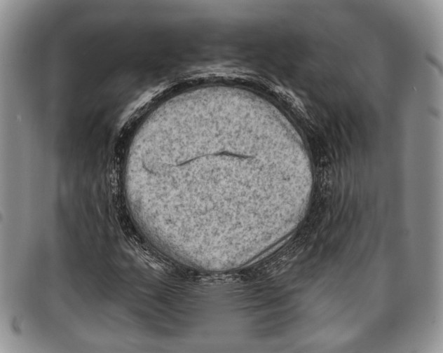 X0000096681159200803041234