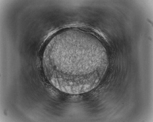 X0000096681160200803041234