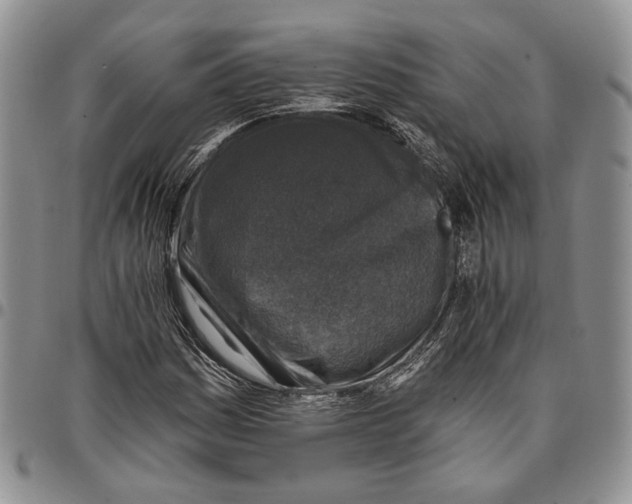 X0000096681161200803041234