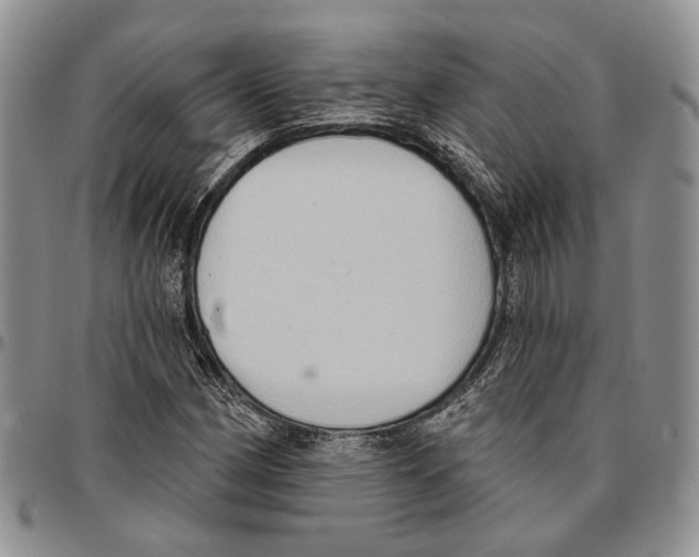 X0000096681162200803041234