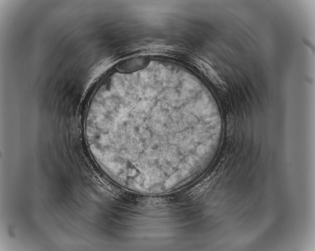 X0000096681164200803041234
