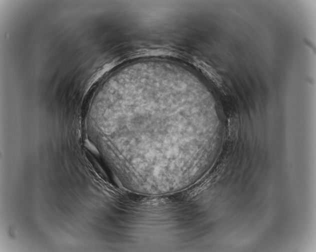 X0000096681165200803041234