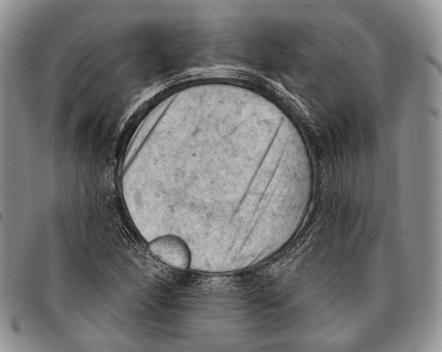 X0000096681166200803041234
