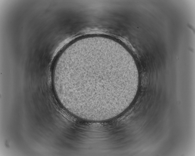 X0000096681167200803041234