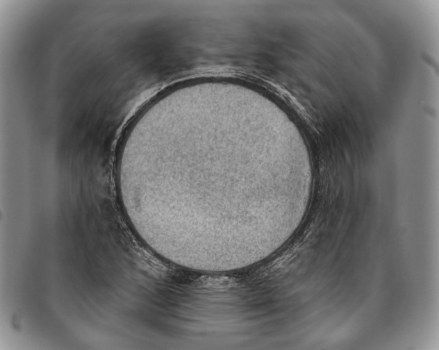 X0000096681168200803041234