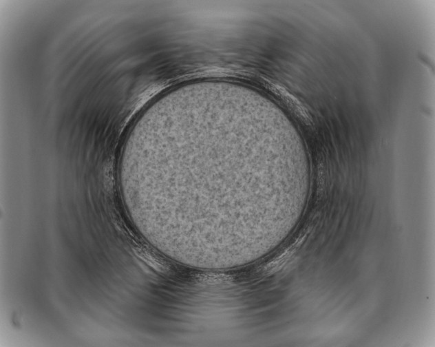 X0000096681170200803041234