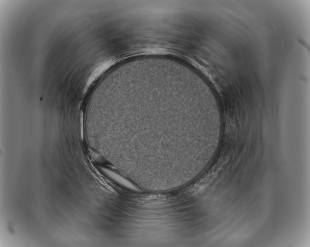 X0000096681171200803041234