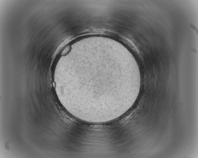 X0000096681172200803041234