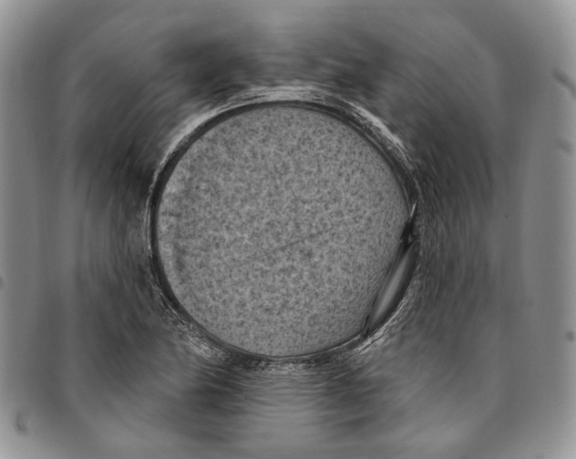 X0000096681174200803041234