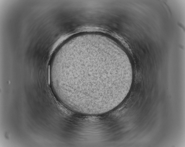 X0000096681175200803041234