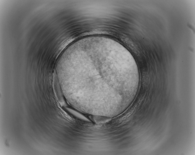 X0000096681177200803041234