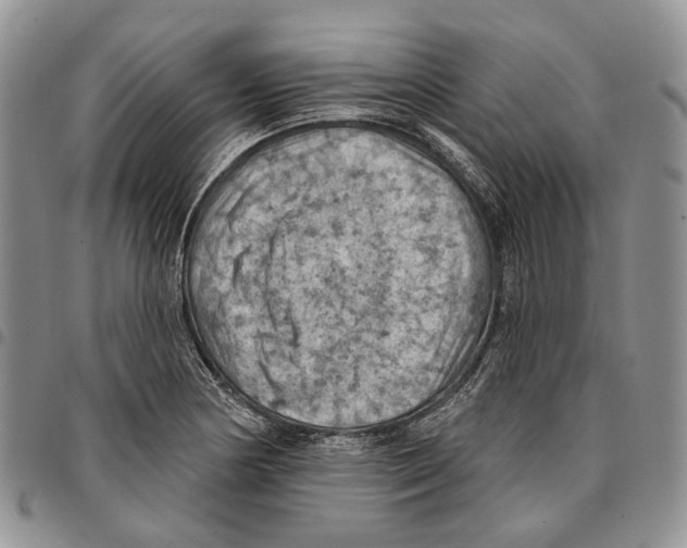 X0000096681178200803041234