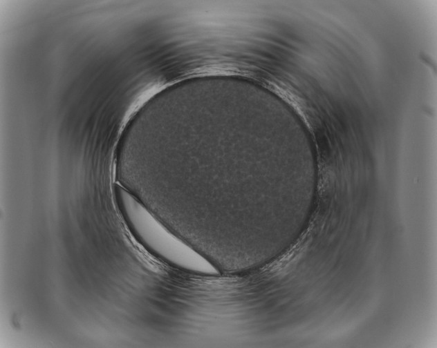 X0000096681179200803041234