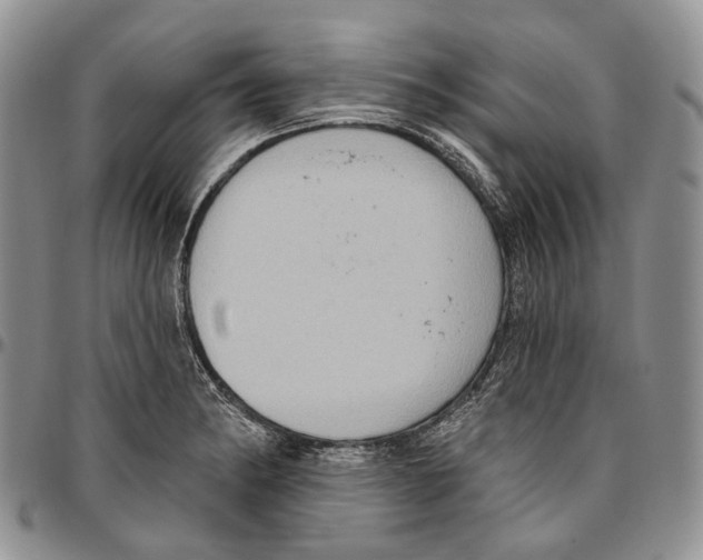 X0000096681182200803041234