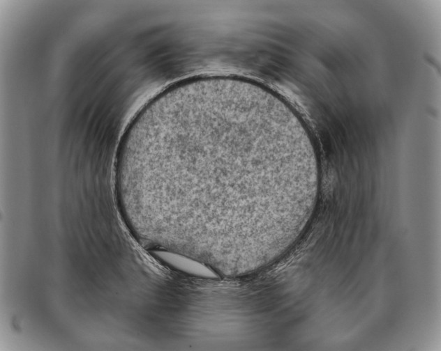 X0000096681183200803041234