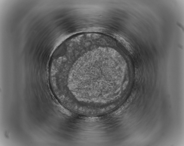 X0000096681184200803041234