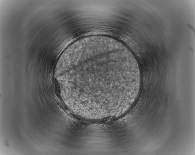 X0000096681185200803041234