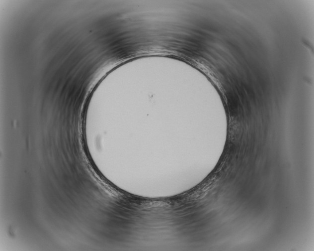 X0000096681187200803041234