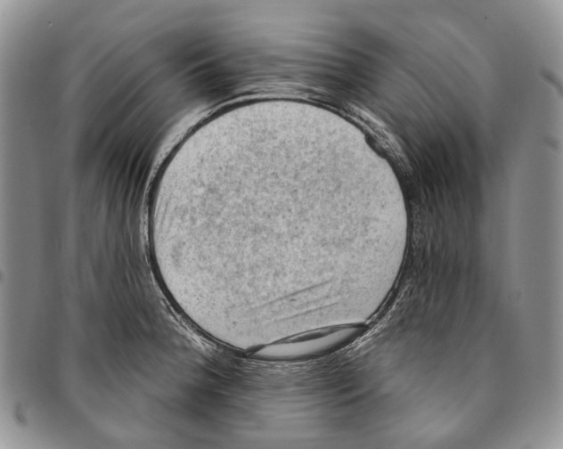 X0000096681188200803041234