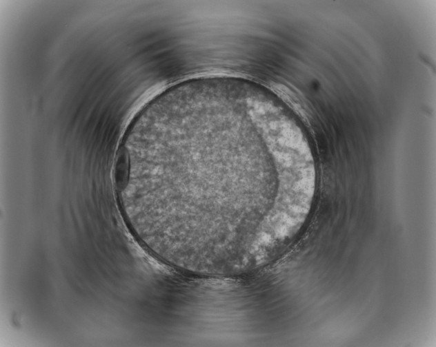 X0000096681189200803041234