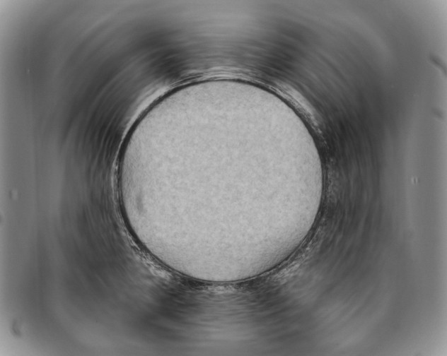 X0000096681190200803041234