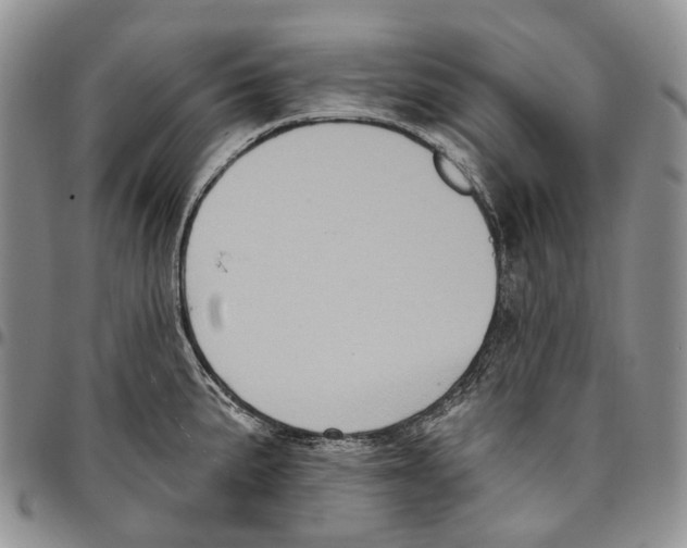 X0000096681191200803041234