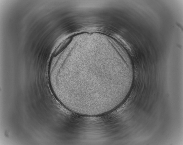 X0000096681192200803041234