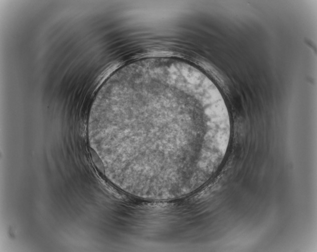 X0000096681193200803041234