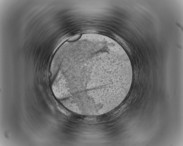 X0000096681194200803041234