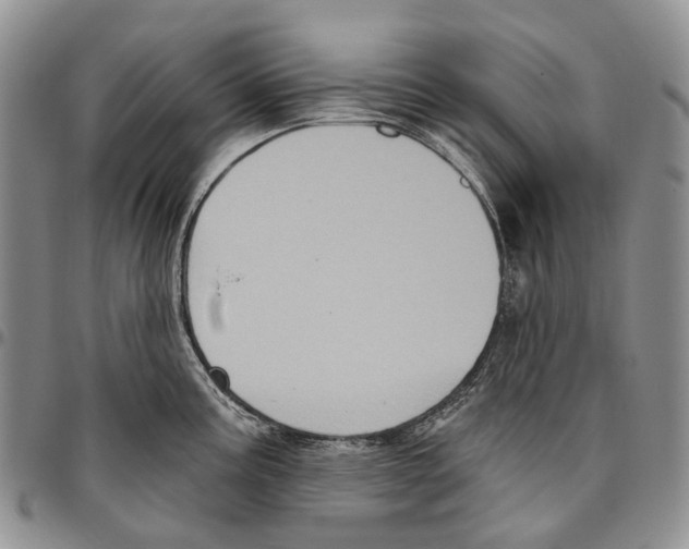 X0000096681195200803041234