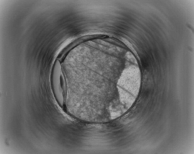 X0000096681197200803041234