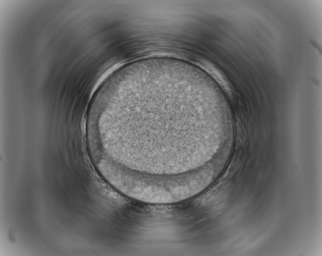 X0000096681198200803041234