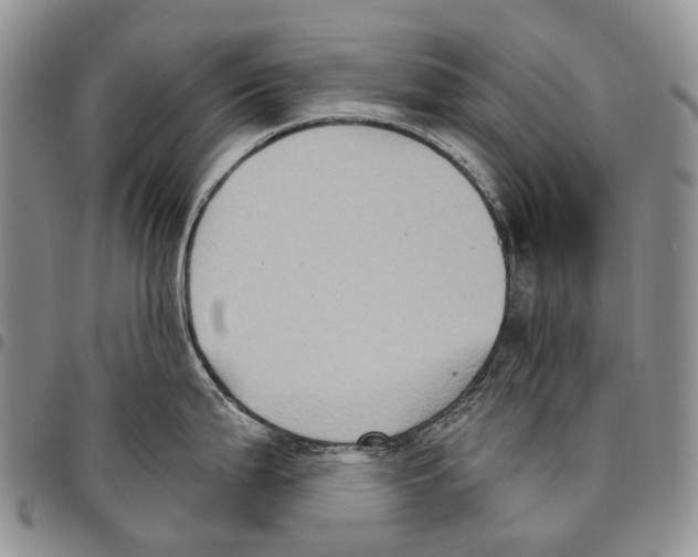 X0000096681199200803041234