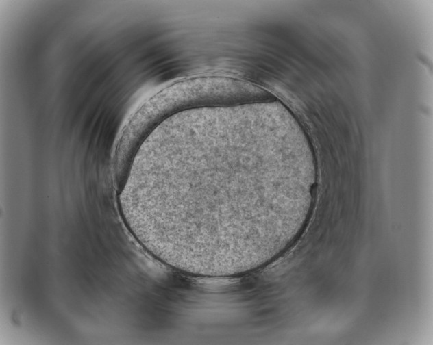 X0000096681200200803041234