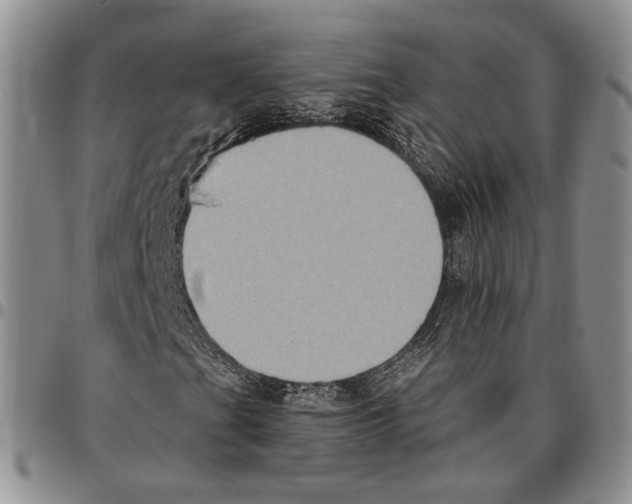 X0000096681201200803041233