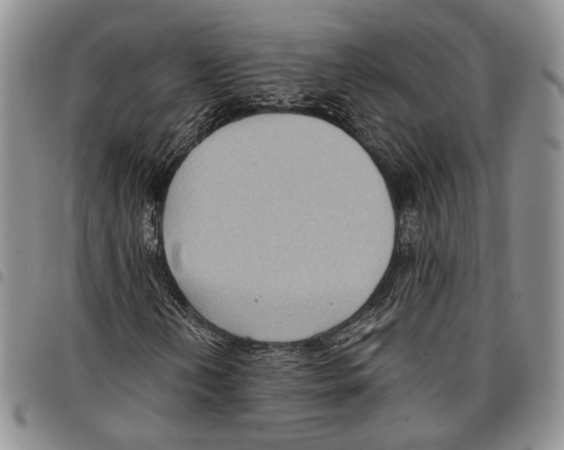 X0000096681202200803041233