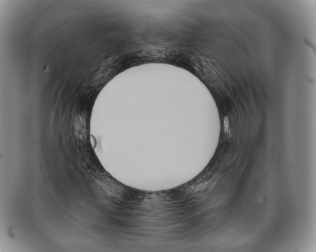 X0000096681203200803041233