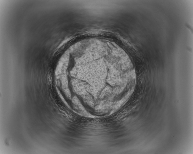 X0000096681206200803041234