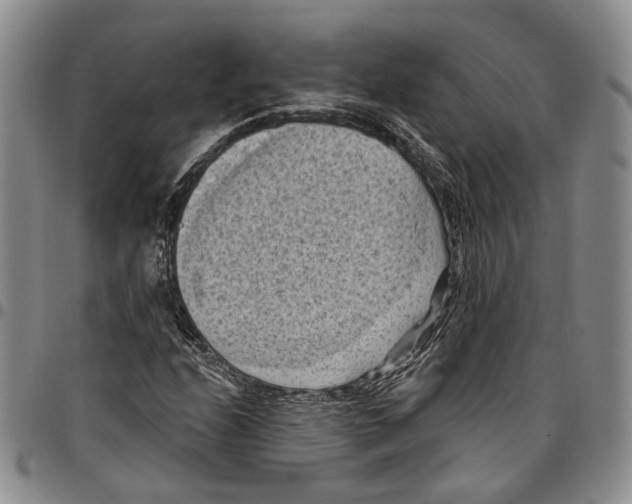 X0000096681208200803041234
