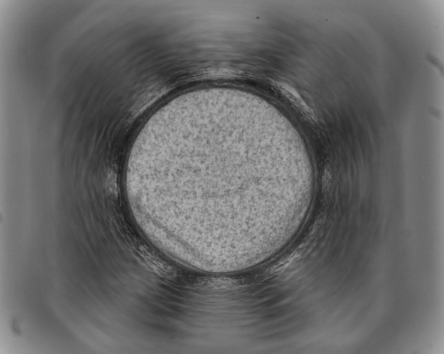 X0000096681209200803041234