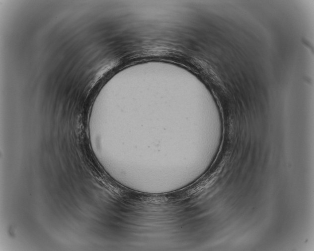 X0000096681210200803041234